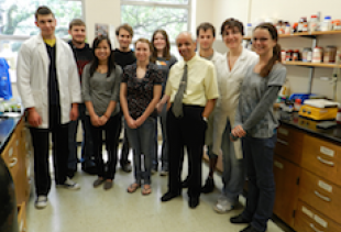 Massoud's Research Group 2012 